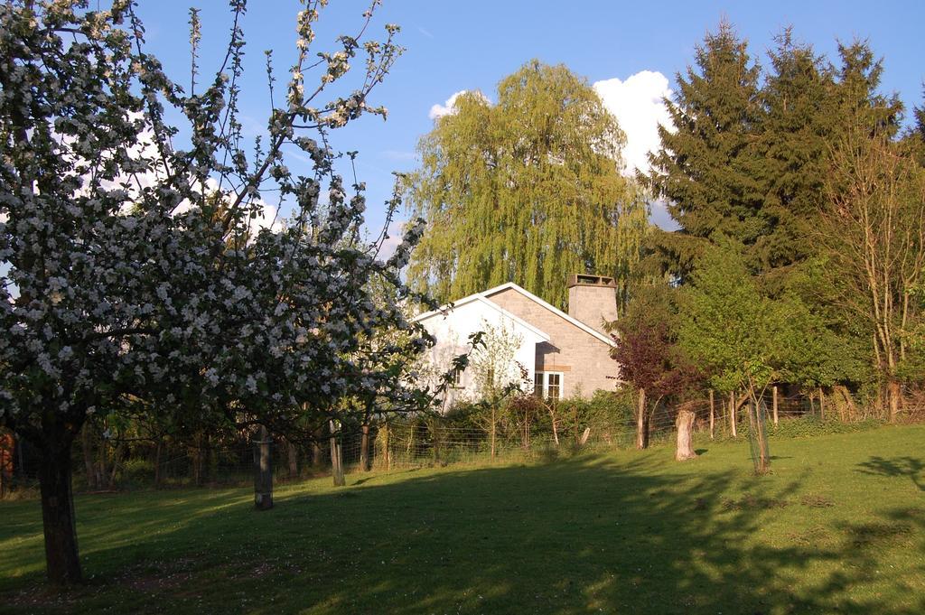 Heyd Sous Le Saule Holiday Home חדר תמונה