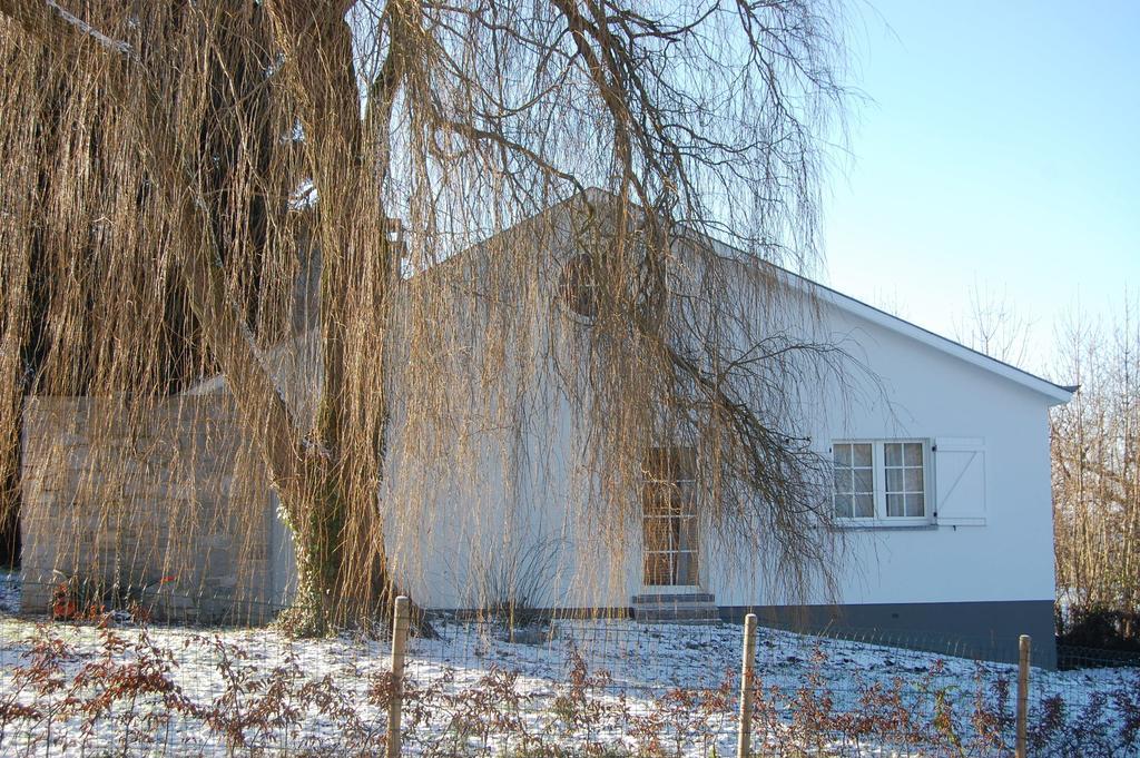 Heyd Sous Le Saule Holiday Home חדר תמונה